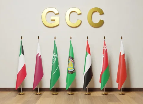Delay in the Gulf States and Iran Meeting on Navigation in the Strait of Hormuz