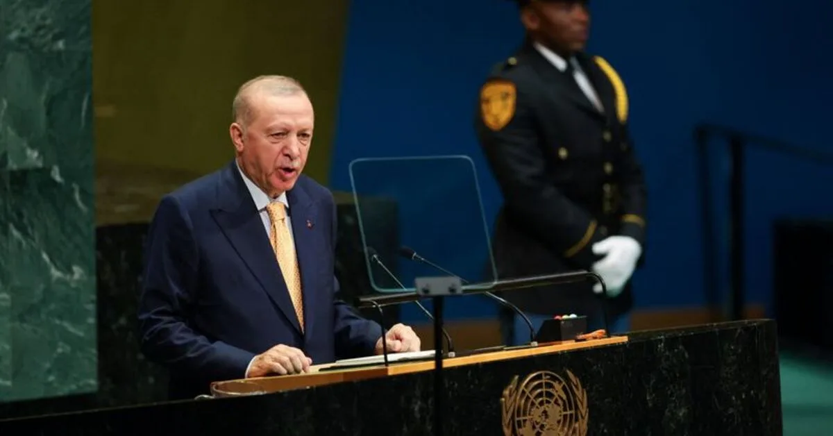 اردوغان خواستار اصلاحات در سازمان ملل و شناسایی گسترده‌تر فلسطین شد