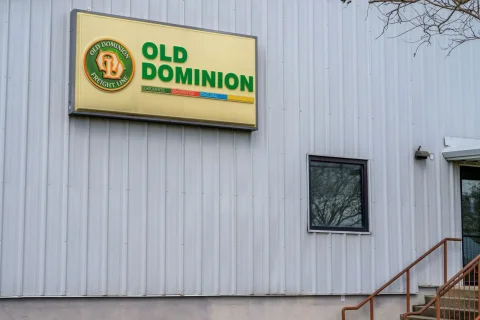 أداء أسهم Old Dominion Freight مقابل المنافسين الصناعيين: مقارنة مثيرة للجدل