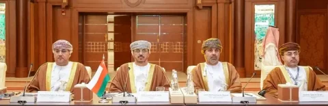 مشارکت سازمان حسابرسی مالی و اداری دولتی در کارگاه توسعه ظرفیت در مدیریت مالی پروژه