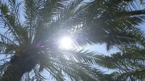 Kuwait Weather: Heat and Chance of Light Rain on Tuesday
