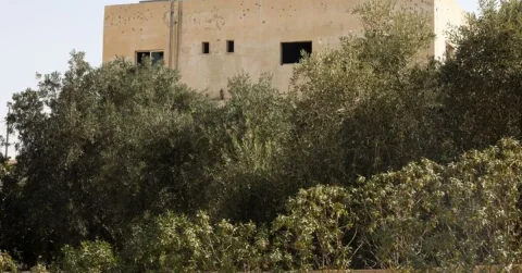 Jordan Attacks Military Targets in Southern Syria