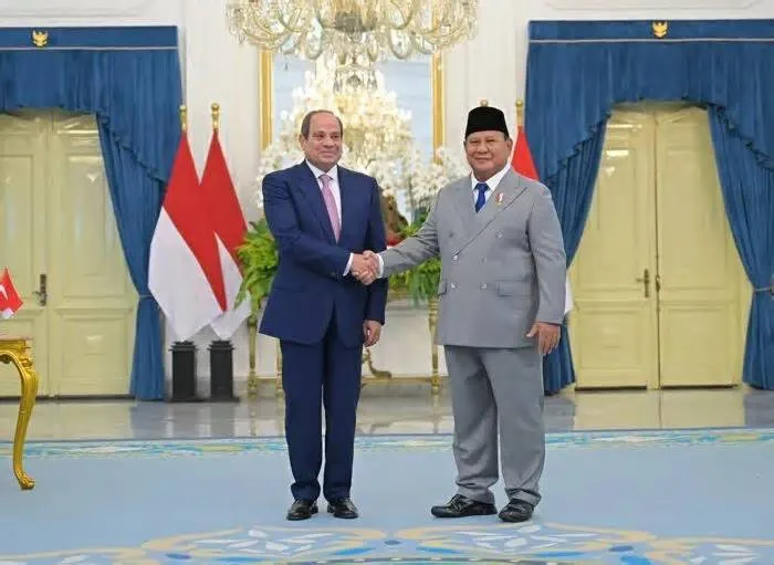 مصر و اندونزی بر خویشتنداری در خلیج فارس تأکید کردند