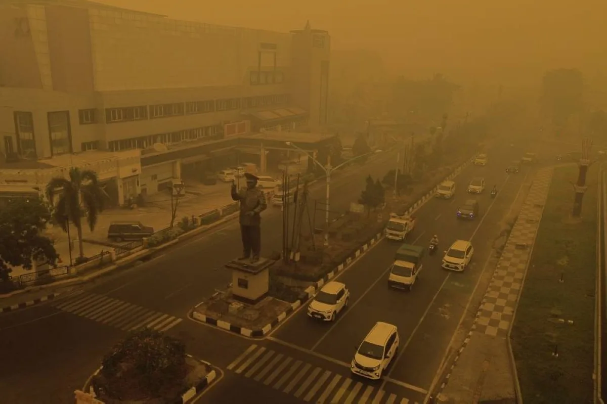 Forest fire casualties in Indonesia reach 3,560