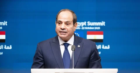 عبد الفتاح السیسی: مصر هیچ هدف ارضی ندارد