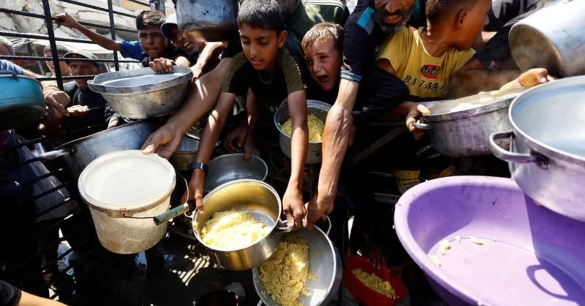 بنجامین دیویس، مدیر سابق FAO، علیه اخراج خود به دلیل انتقادات از گرسنگی در غزه اقدام میکند