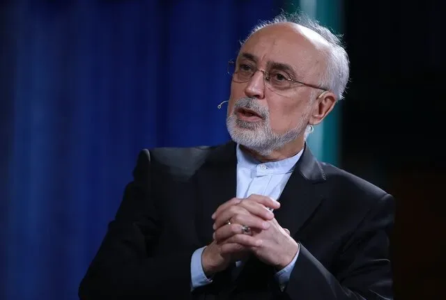 علیاکبر صالحی: گفتوگوهای صریح میتواند تنشها را کاهش دهد