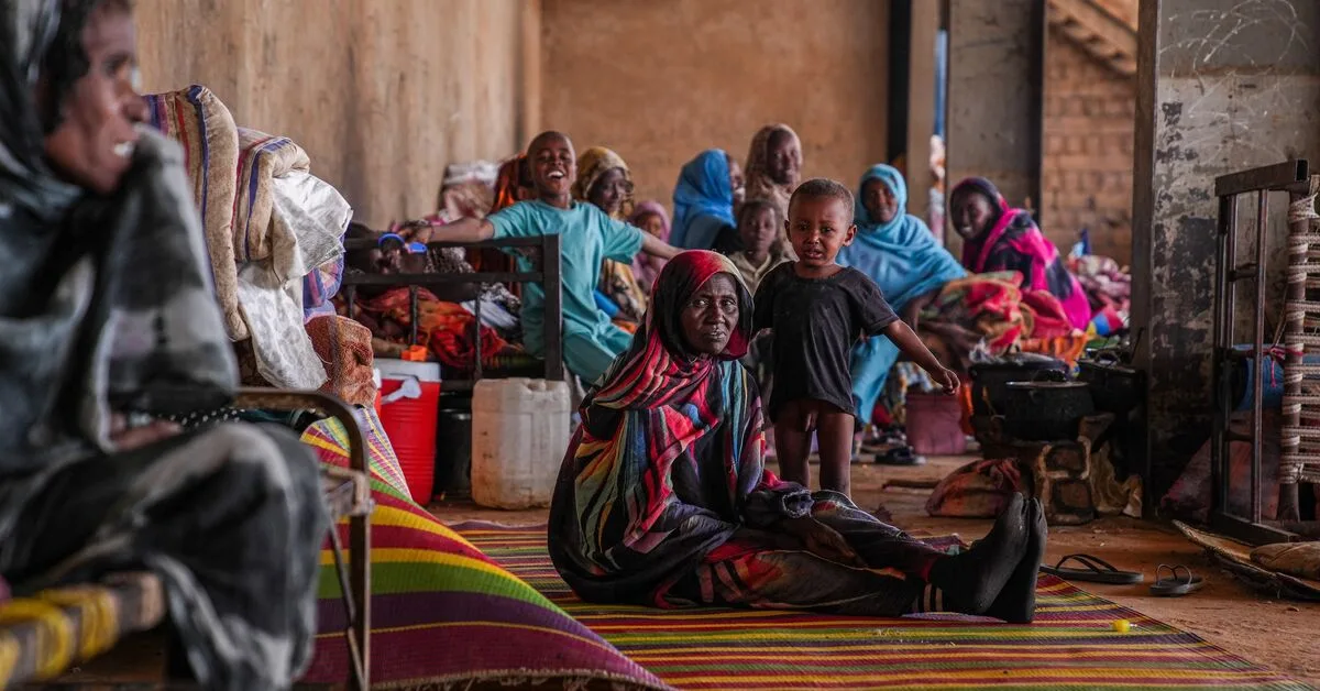 Sudan's Rapid Support Forces Target Five Power Stations with Drone Attacks